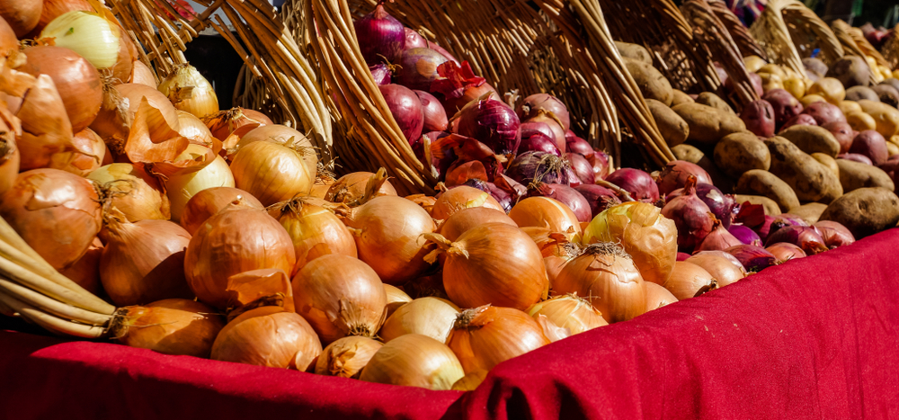 KURU SOĞANA NEDEN MUHTAÇ&nbsp;OLDUK?